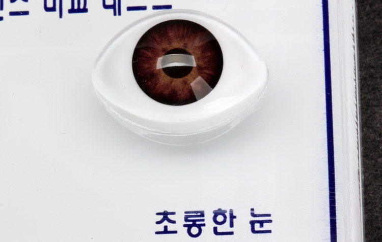칼라렌즈비교테스트 (2구)